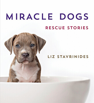 Miracle Dogs: Rescue Stories