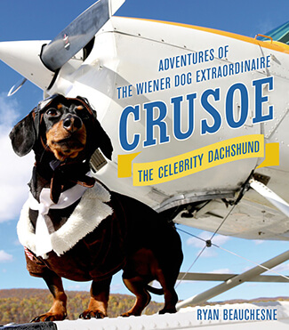 Crusoe, the Celebrity Dachshund