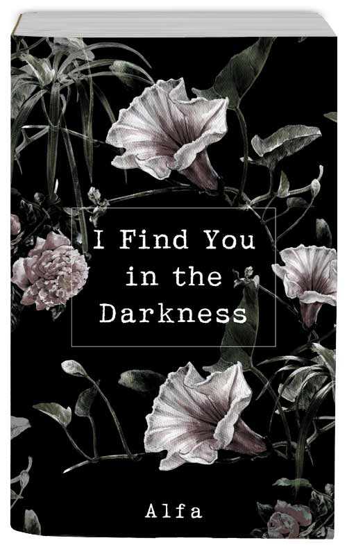 I Find You in the Darkness