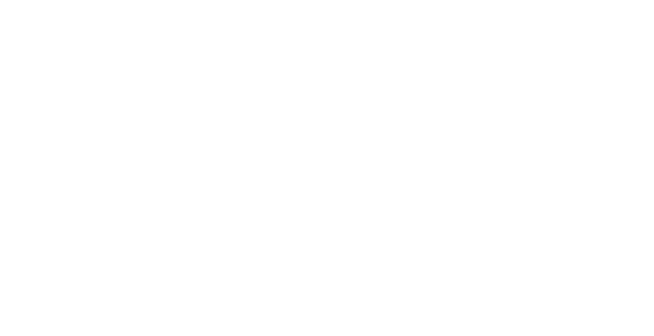 The Book of V. is a marvel —Jane Hamilton