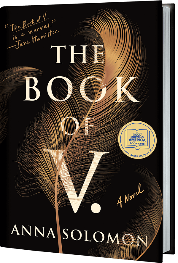The Book of V by Anna Solomon