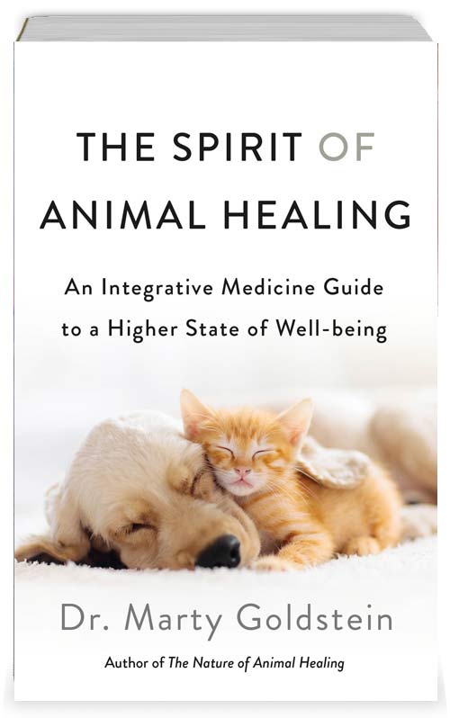 Robert E. Lee and Me Ty Seidule St. Martins Press