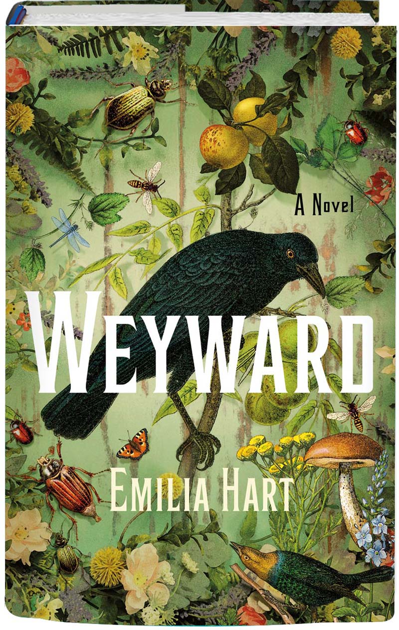 Weyward Emilia Hart St. Martin’s Press