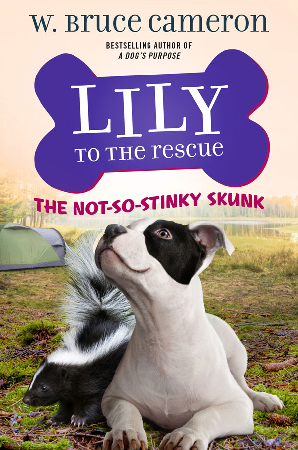 Lily to the Rescue: The Not So Stinky Skunk
