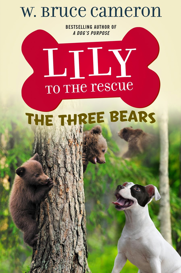 Lily To The Rescue: The Three Bears