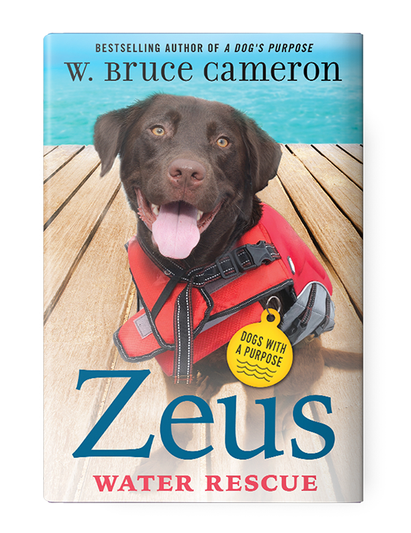 Zeus Water Rescue