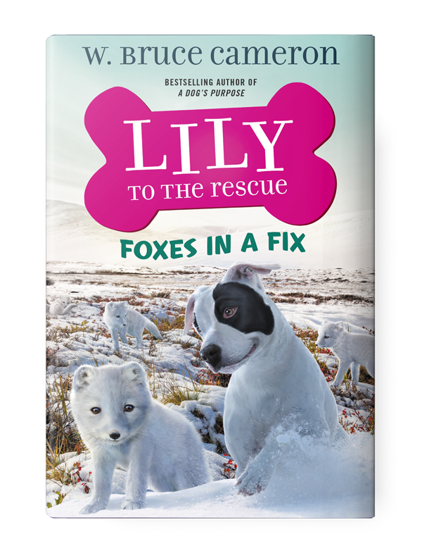 Lily to the Rescue: Foxes in a Fix
