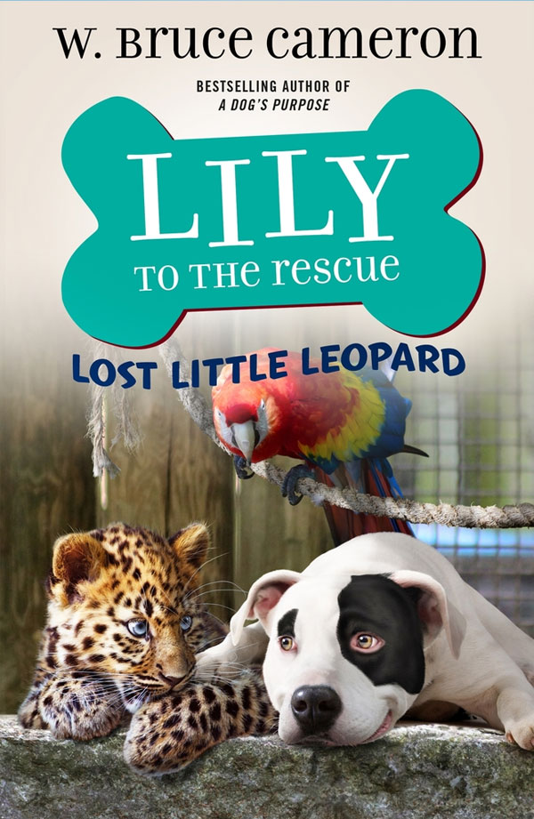 Lily to the Rescue: Little Lost Leopard