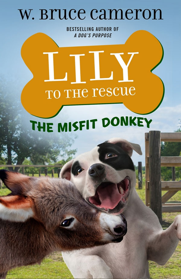Lily to the Rescue: The Misfit Donkey